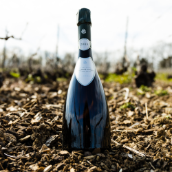 Philippe Gonet Belemnita Blanc de Blancs Grand Cru Extra-Brut