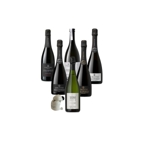 Cirotto Smagekasse � Asolo Prosecco Superiore (6 flasker) inkl. stopper