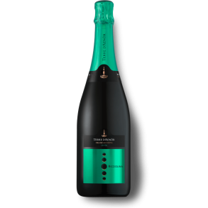 Terre dAenor Franciacorta Sat&egrave;n Ricciolina